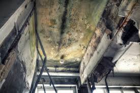 Best Mold Removal for HVAC Installations  in Amity Gardens, PA